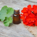 Sardunya Yaginin Cilde Faydalari