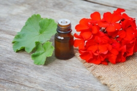 Sardunya Yaginin Cilde Faydalari