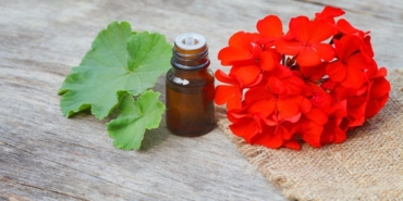 Sardunya Yaginin Cilde Faydalari